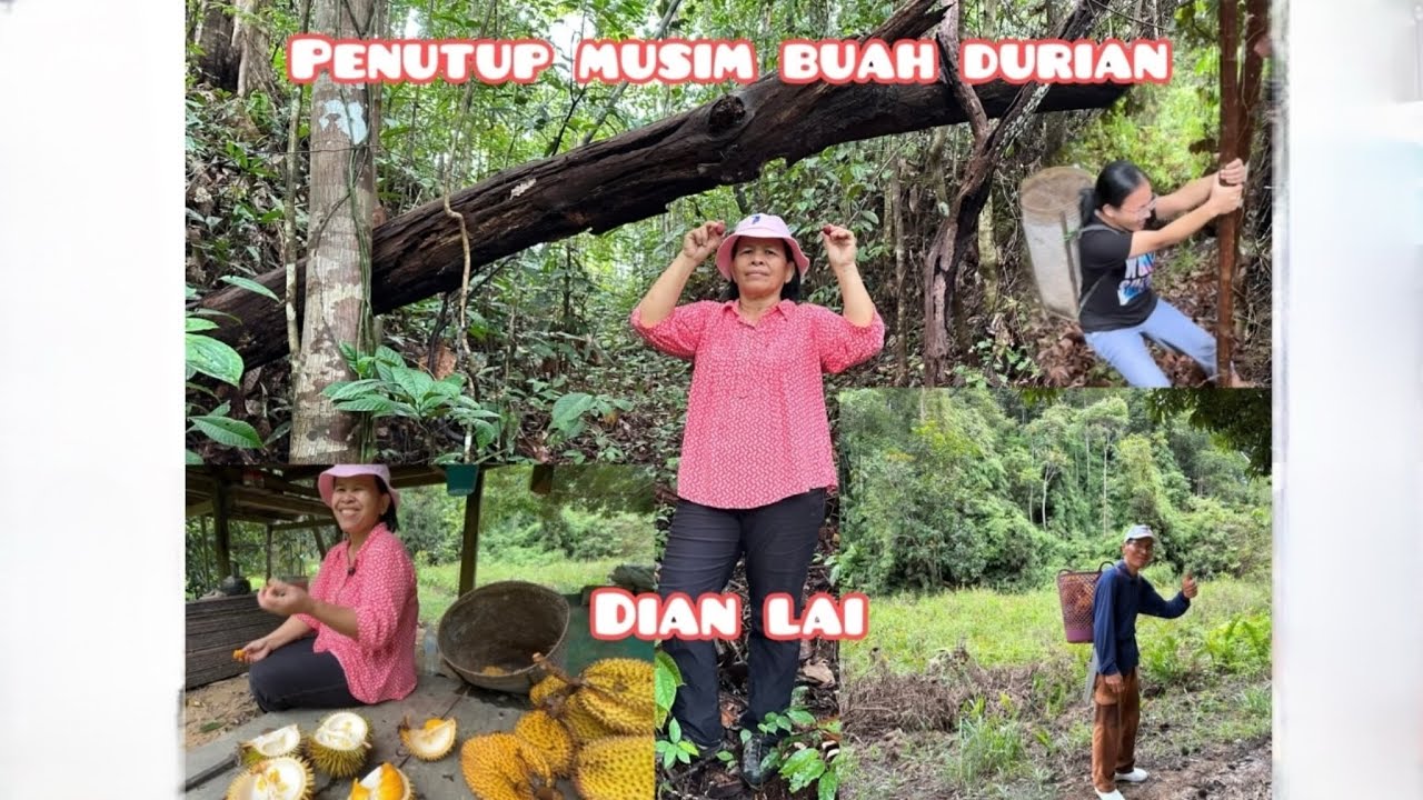 DIAN LAI PENUTUP MUSIM BUAH DURIAN
