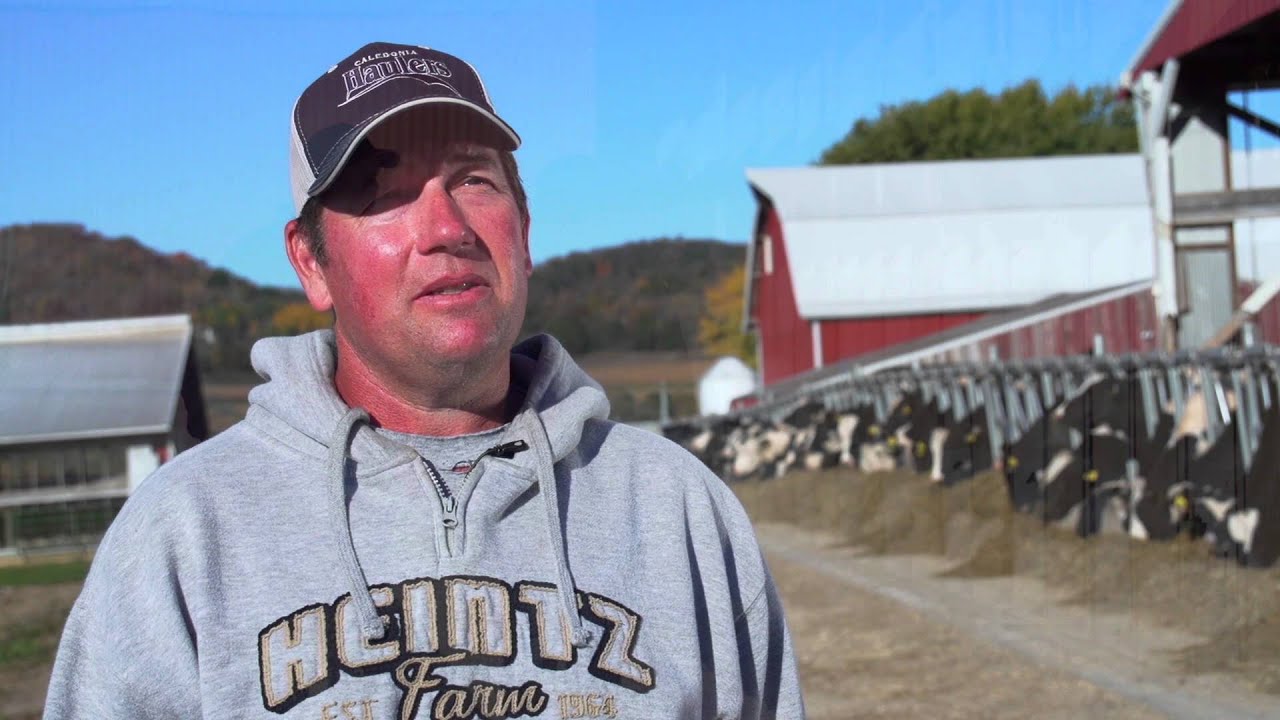 Midwest Dairy: Heintz Farm
