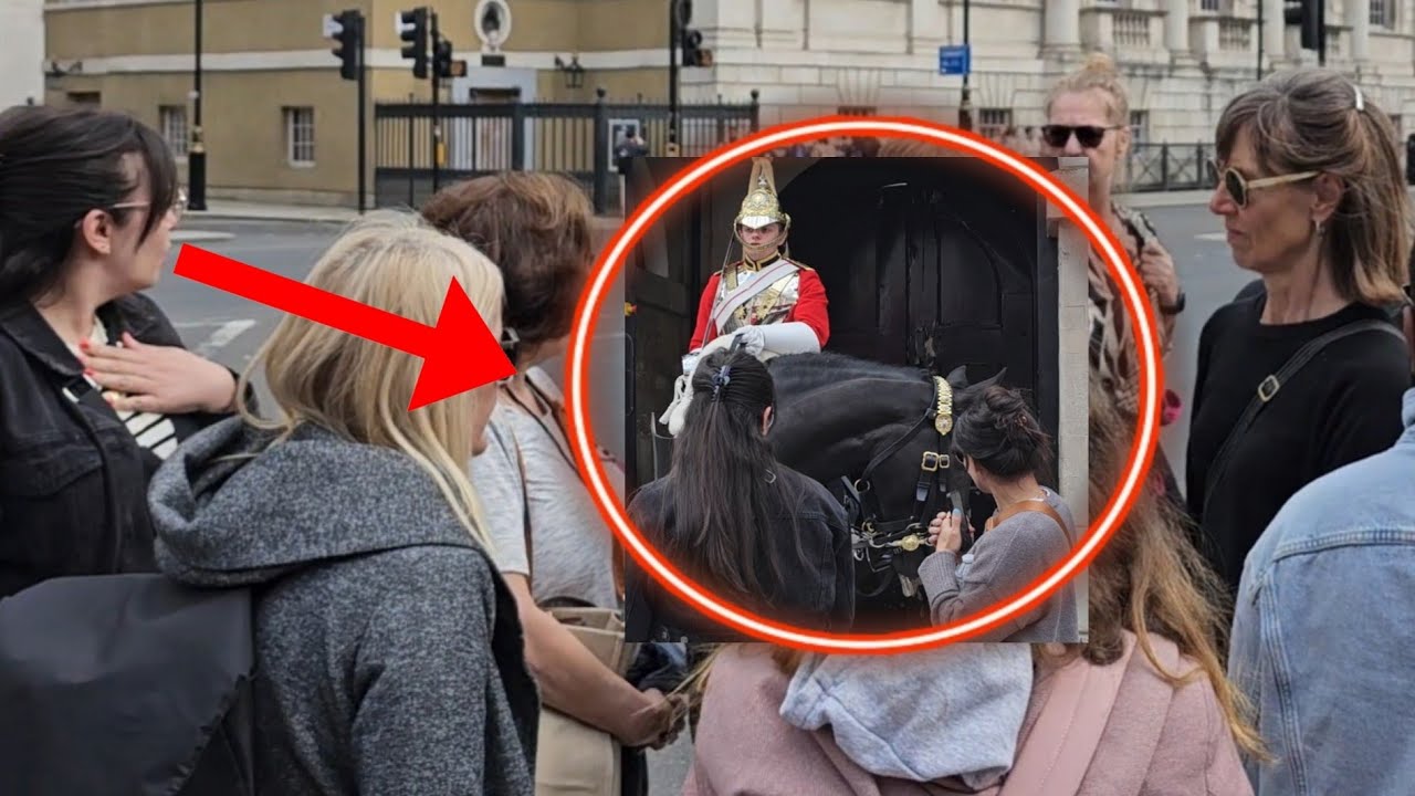 Tourists Argument at HORSE GUARDS!