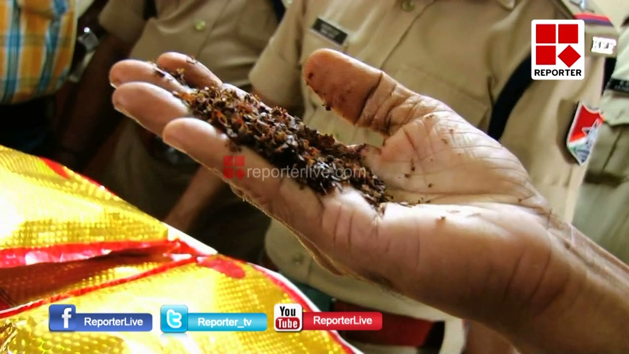 Kozhikode Drug Consumption _Reporter Live