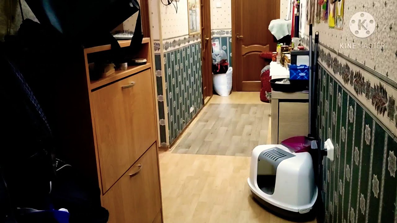Долгожданный Обзор Квартиры! 🏢