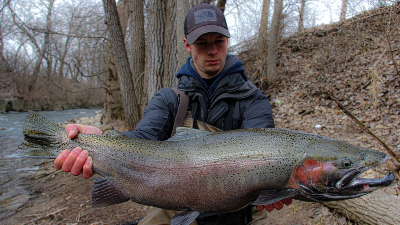 WORLD CLASS Wisconsin Steelhead Fishing (MASSIVE!)