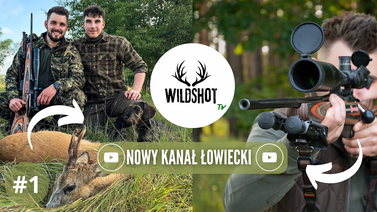 #1 Majowe polowanie na rogacze i dziki | Wild Boars and Roe Bucks Hunting in May