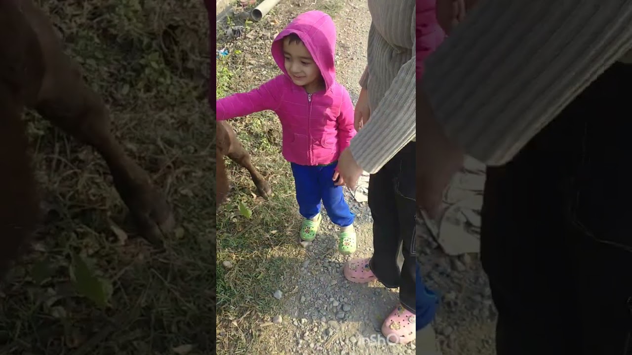 # papa bete ki biscuit par bahas # jeevansh aur uski aunty ki baaten🥰🥰