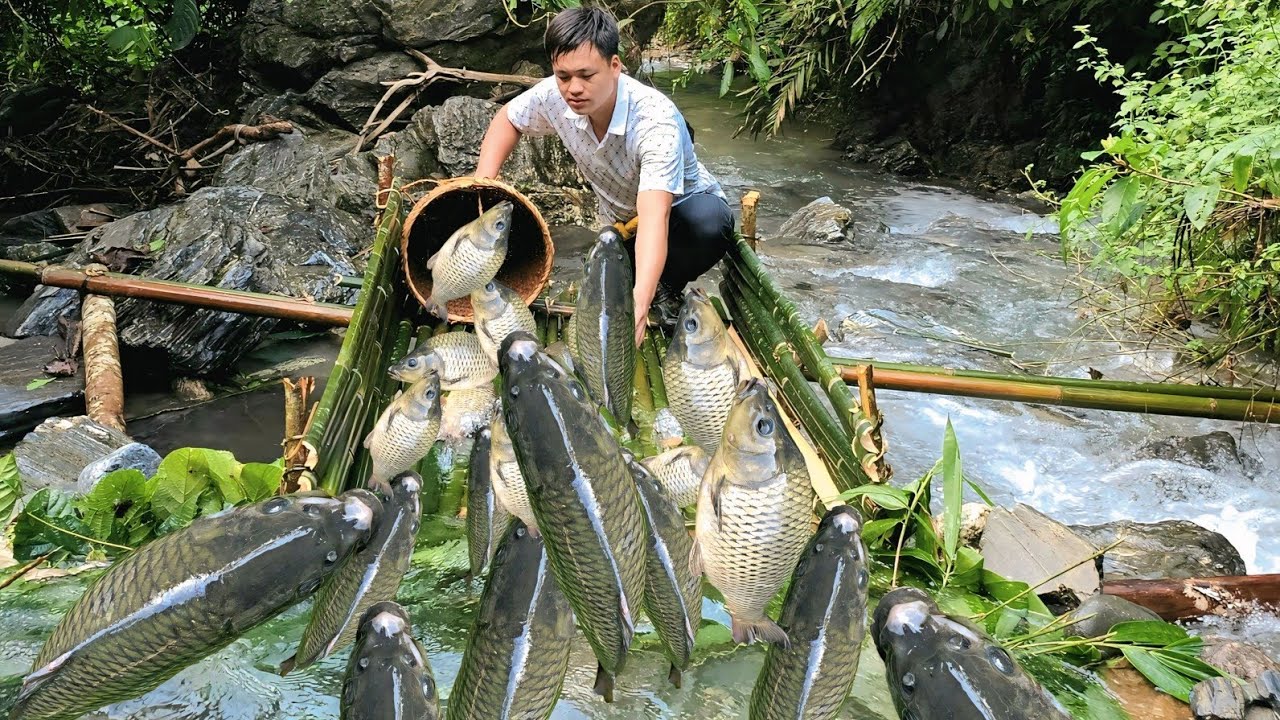 CEO Trieu Kha's fishing skills after leaving the city to return to his hometown | Triệu Kha