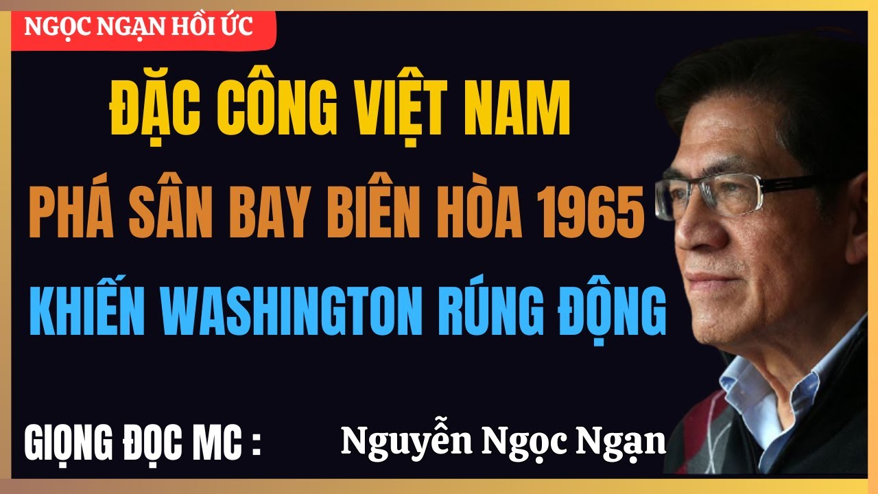 Trận Đánh Khiến Mỹ Tê Liệt: Đặc Công Việt Nam Tập Kích Sân Bay Biên Hòa Rạng Sáng 1/11/1965