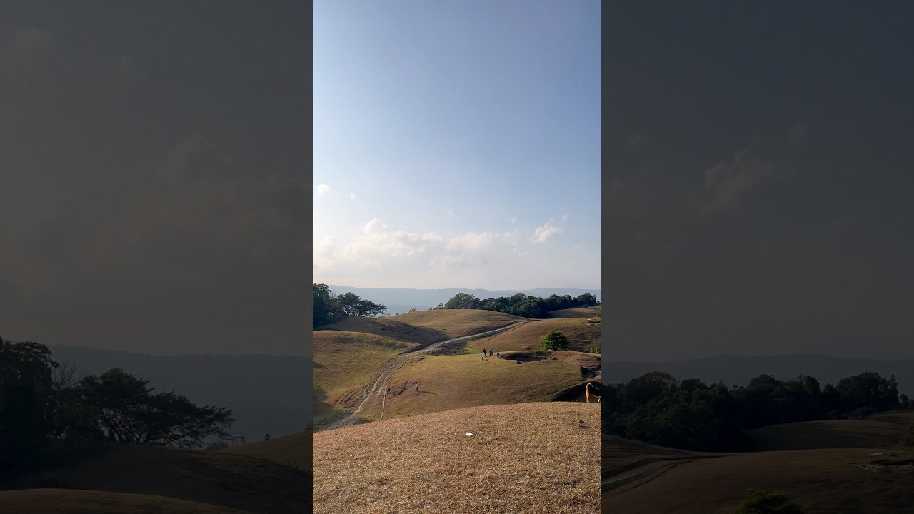 The Dzuko valley of Dima Hasao #indunglo #4x4offroad