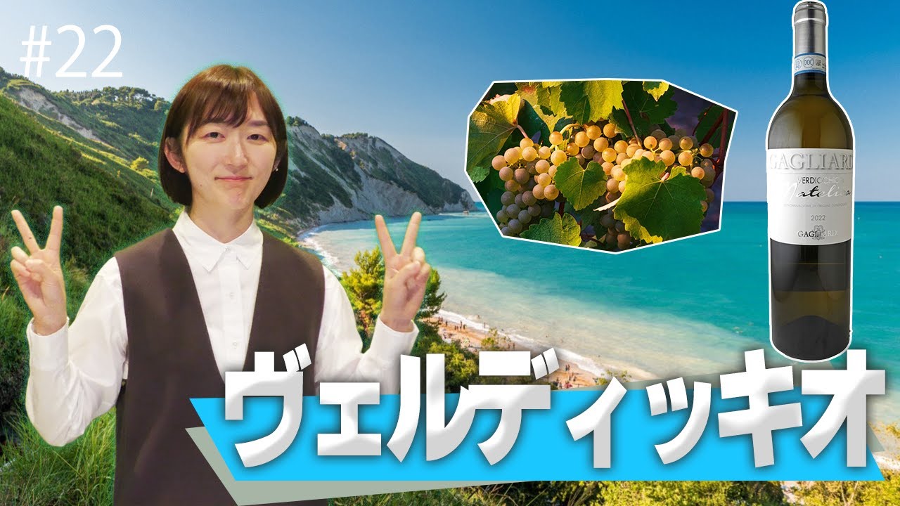 #22 ヴェルディッキオ｜ソムリエ・ワインエキスパート試験に登場するブドウ品種たち