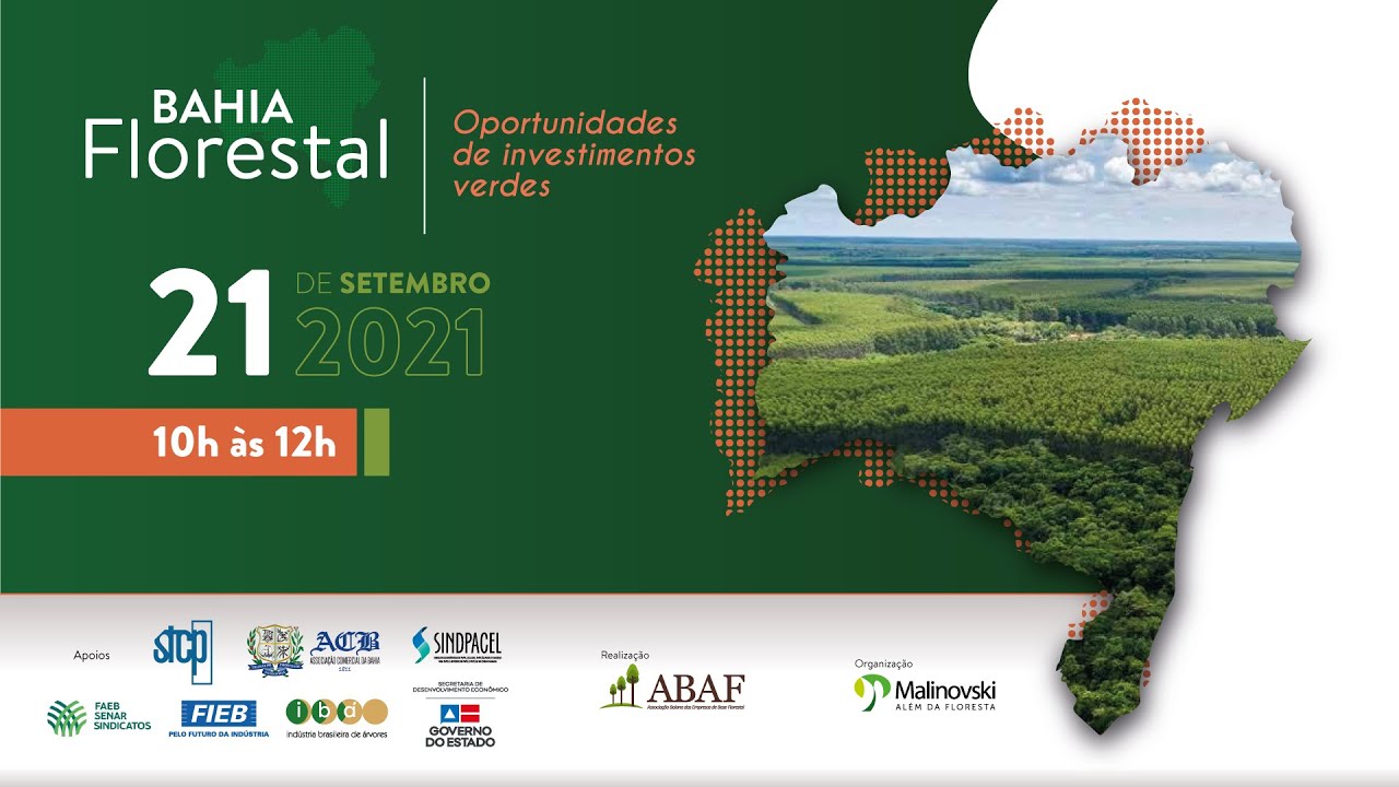 Bahia Florestal 2021 | Oportunidades de investimentos verdes