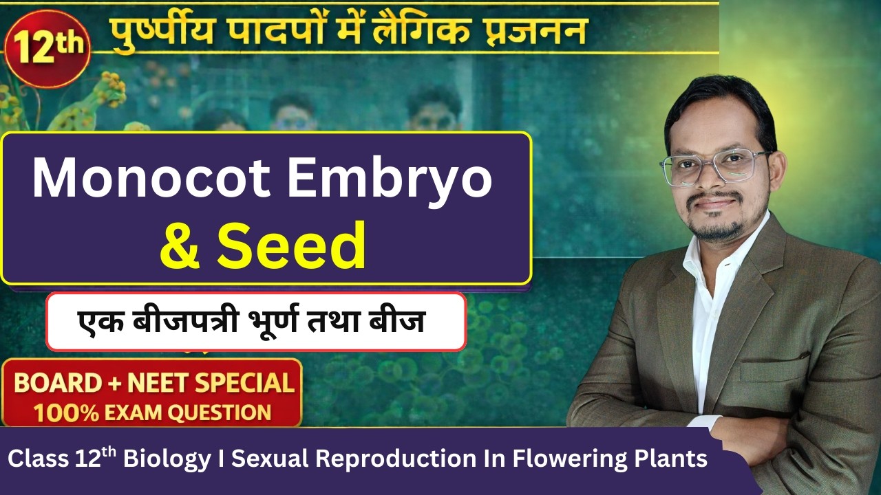 Monocot Embryo & Seed Explained | एकबीजपत्री भ्रूण तथा बीज | Class 12 Biology | NEET 2026