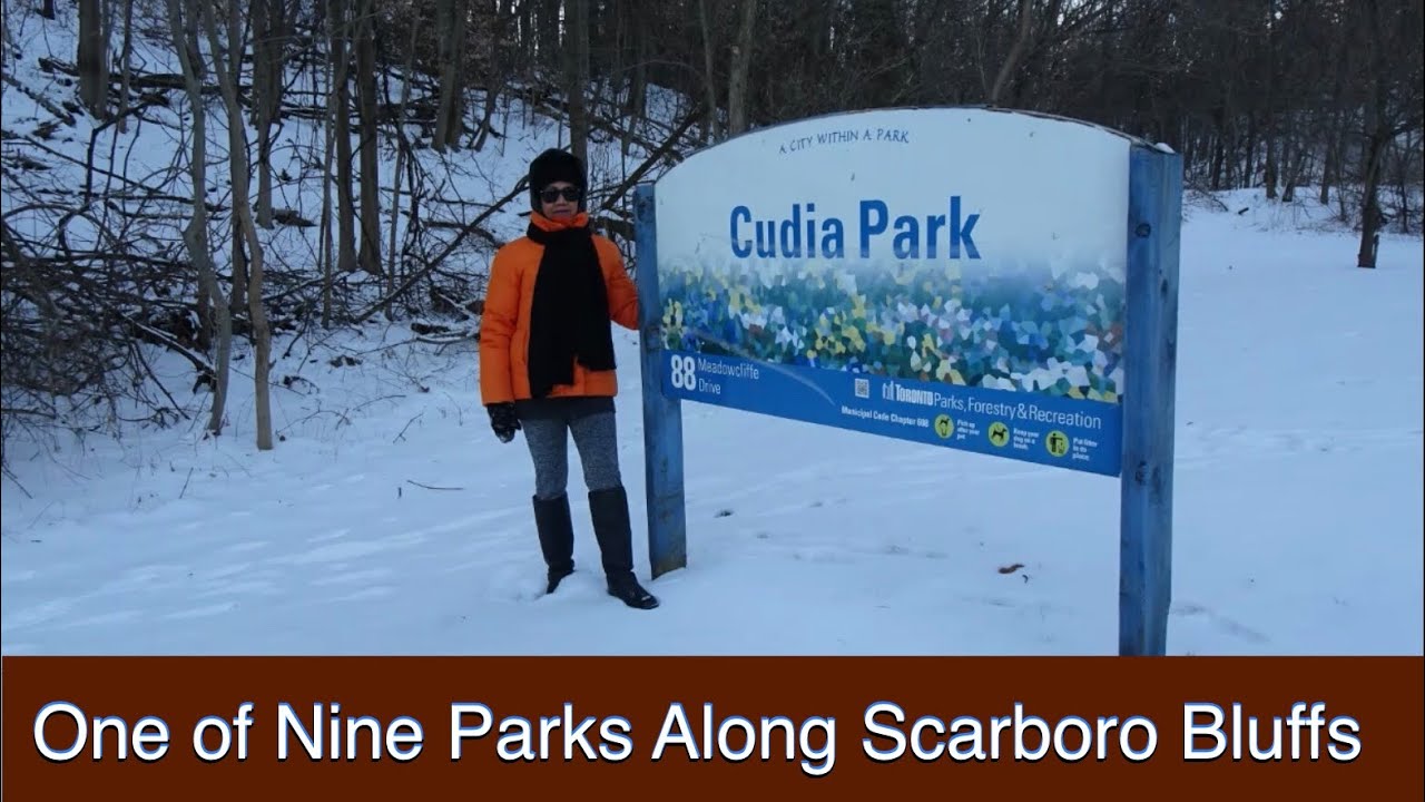 Cudia Park Along Scarborough Bluffs with Overlooking View of Lake Ontario | Cinematic