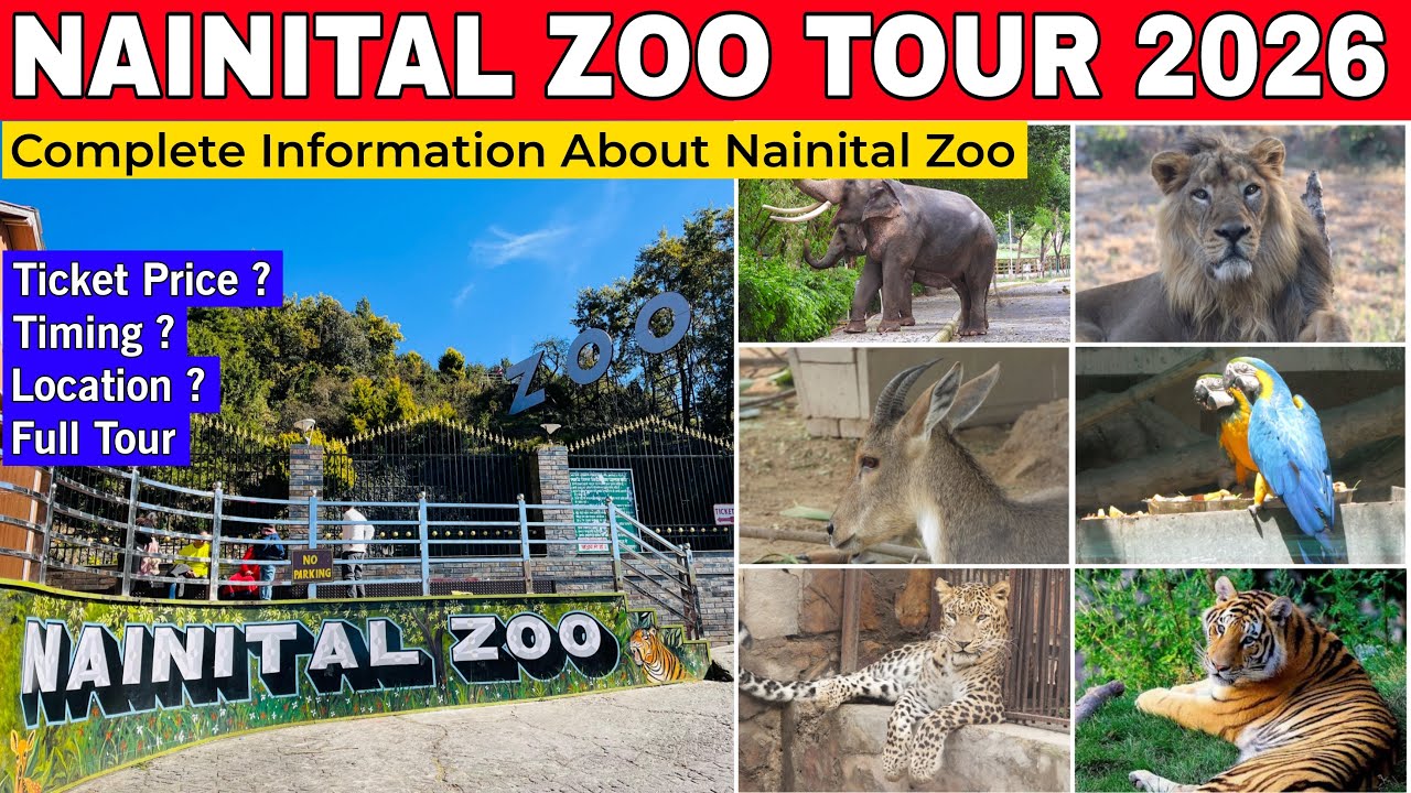 Nainital Zoo | nainital zoo ticket price |nainital zoo vlog | nainital zoo video | Nainital zoo 2026