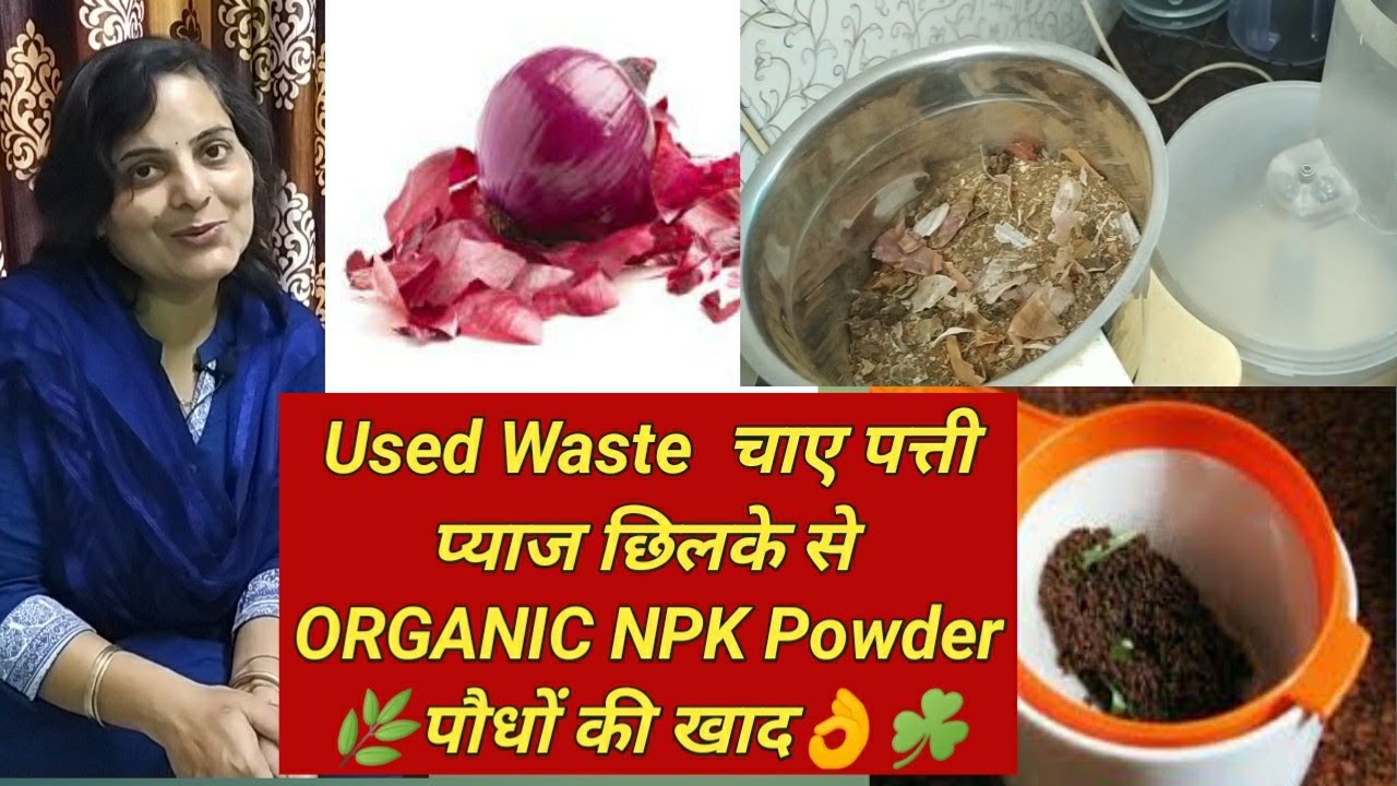 प्याज छिलके, छानी चाए पत्ती पौधों के लिए वरदान, Waste onion peels & tea leaves Plant fertilizer,EASY