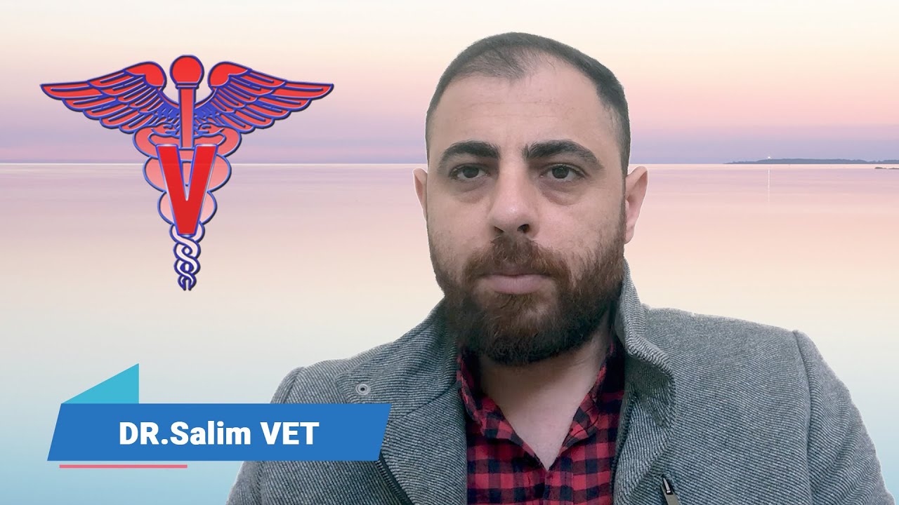 التسمم الدموي المعوي والمرض بين الحاضر والماضي