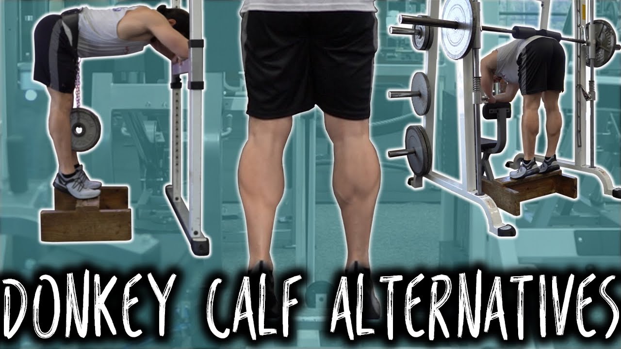 Donkey Calf Raise Machine ALTERNATIVES