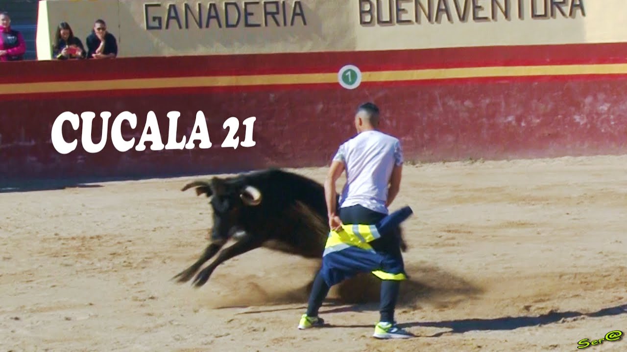 ✅2019 Alcalá de Chisvert 21◾ Finca Cúcala Capea