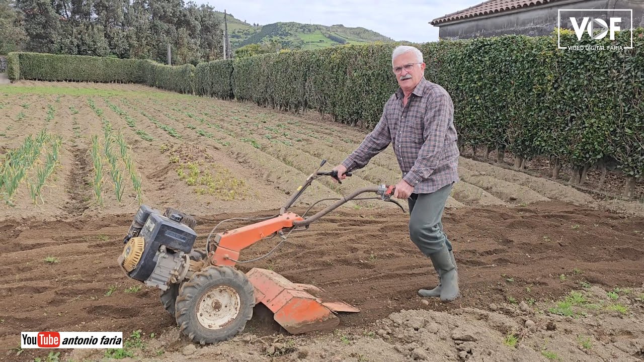 Hoje fui Tratorista na Quinta do Fernando Silva, Ilha Faial 2024