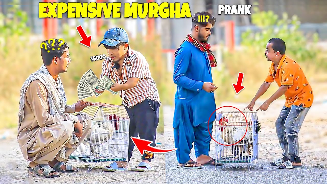 Expensive Murgha (Cock) PRANK - | @NewTalentOfficial