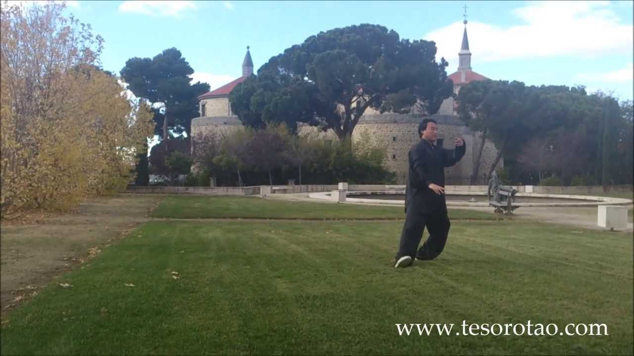 Master Xioda Liu Chikung Taichi Madrid