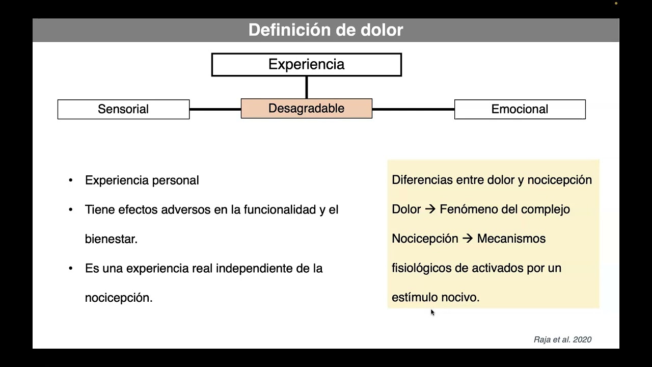 Generalidades del dolor (1)
