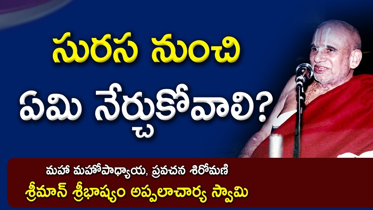 సురస నుంచి ఏమి నేర్చుకోవాలి? | Sribhashyam Appalacharyulu | Ramayanam | Kopparapu Kavulu