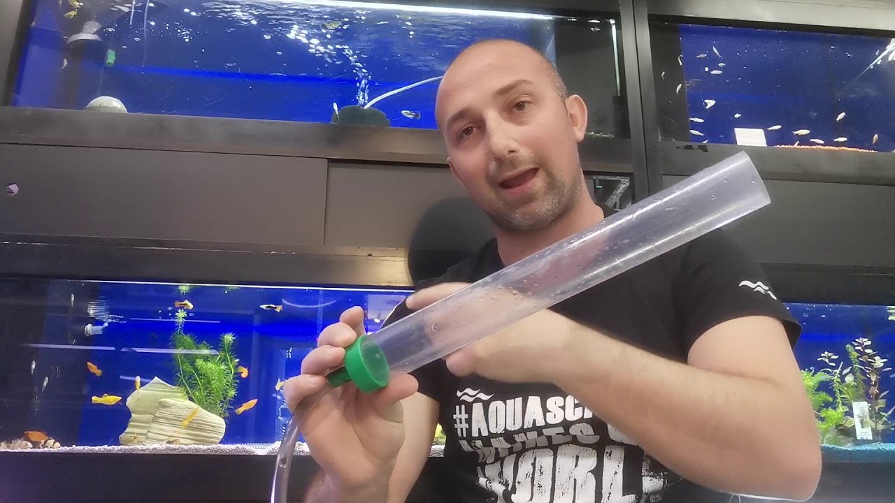 Tutorial Pulizia Acquario 🐠🧽🌿