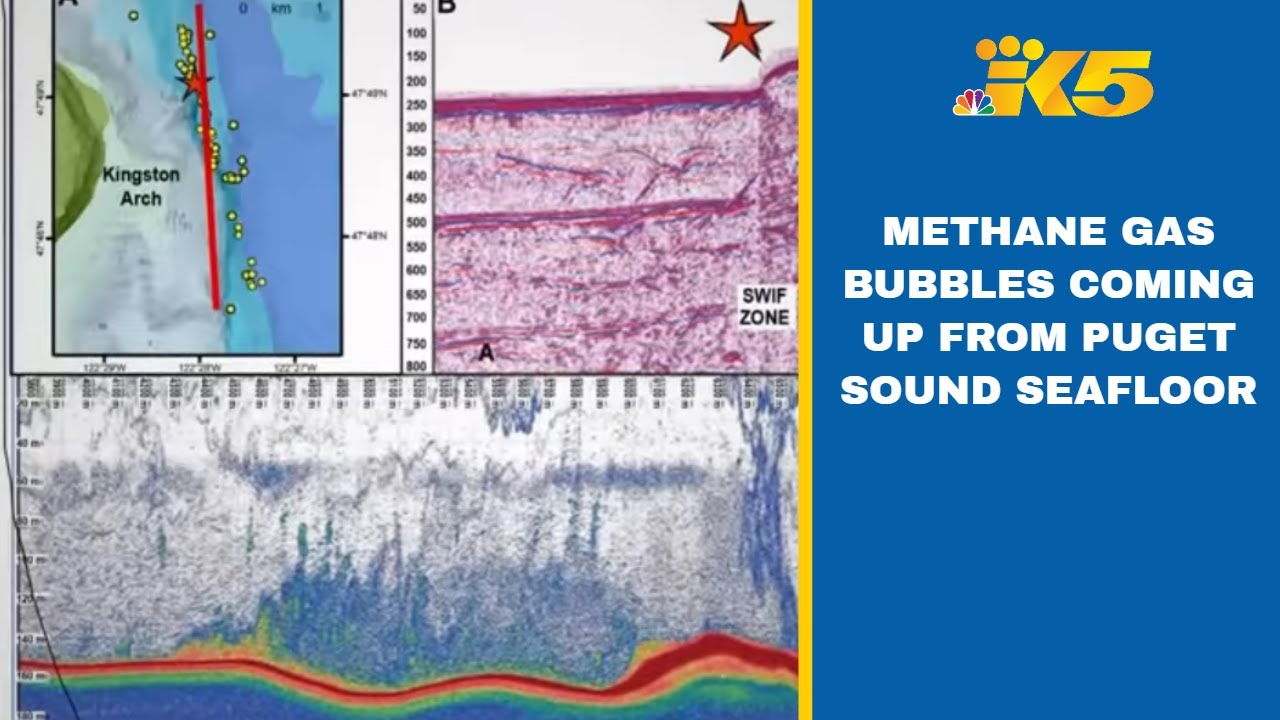UW researchers discover methane gas bubbles coming up from the Puget Sound seafloor