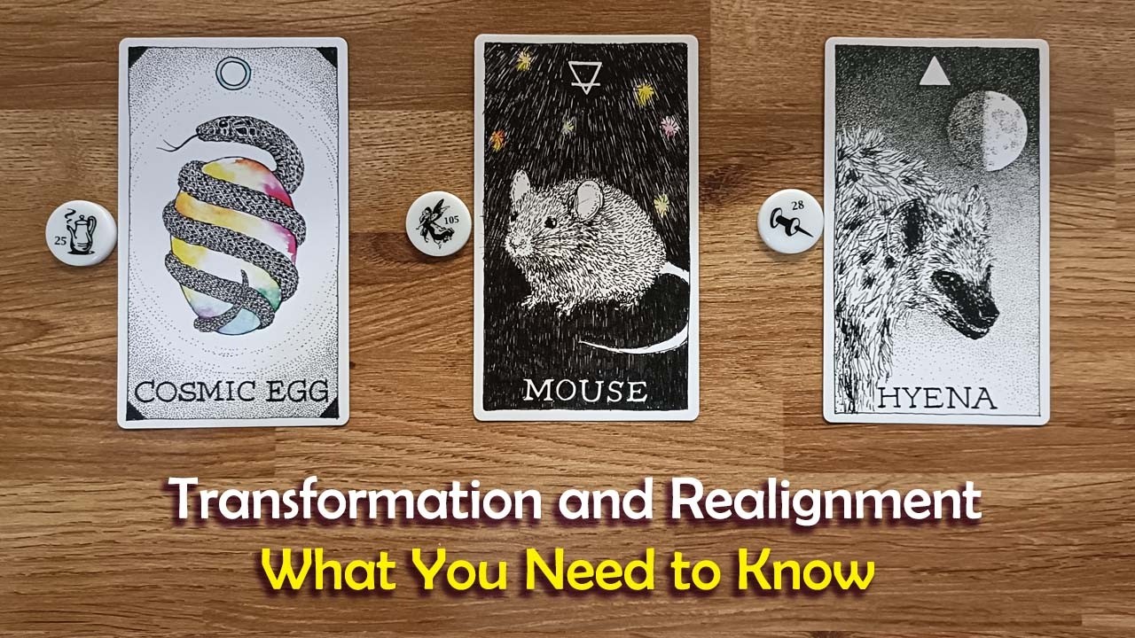 New Moon Tarot Readings🌒🌓🌕🌗🌘 What You Need To Know To Navigate the Current Realignment of Energy