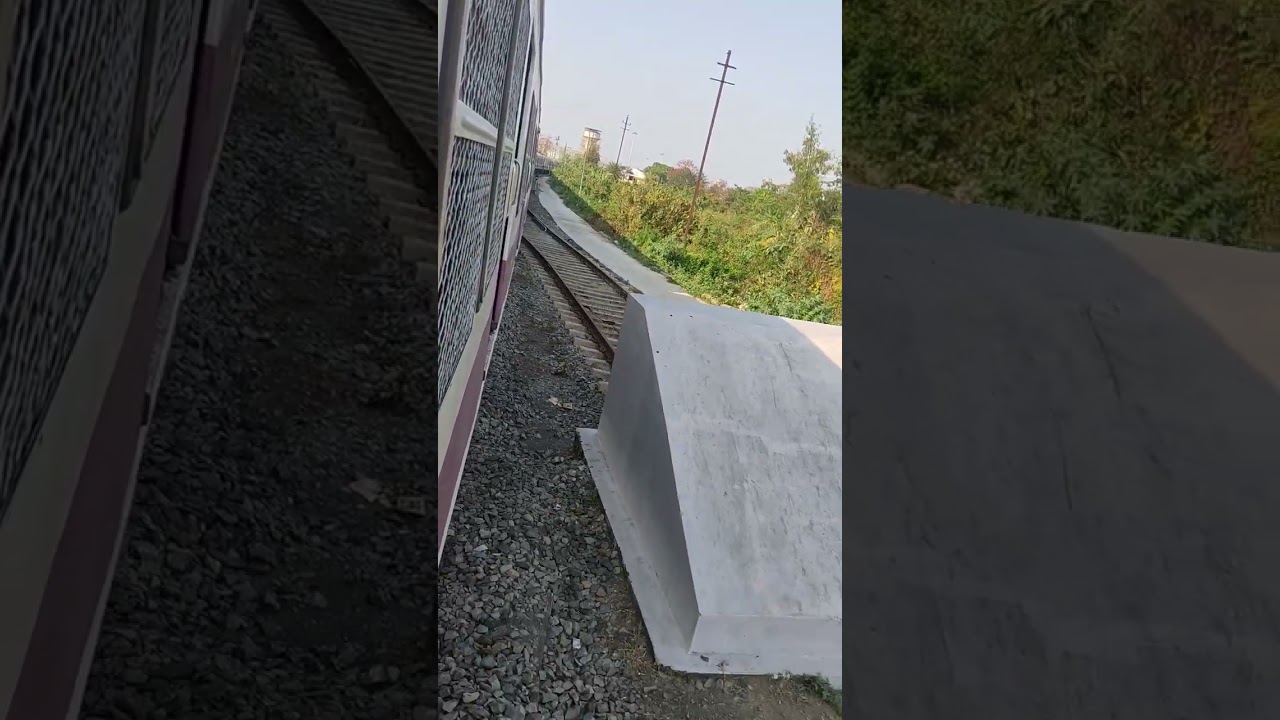 শর্ট ভিডিও লাইক দা শেয়ার 