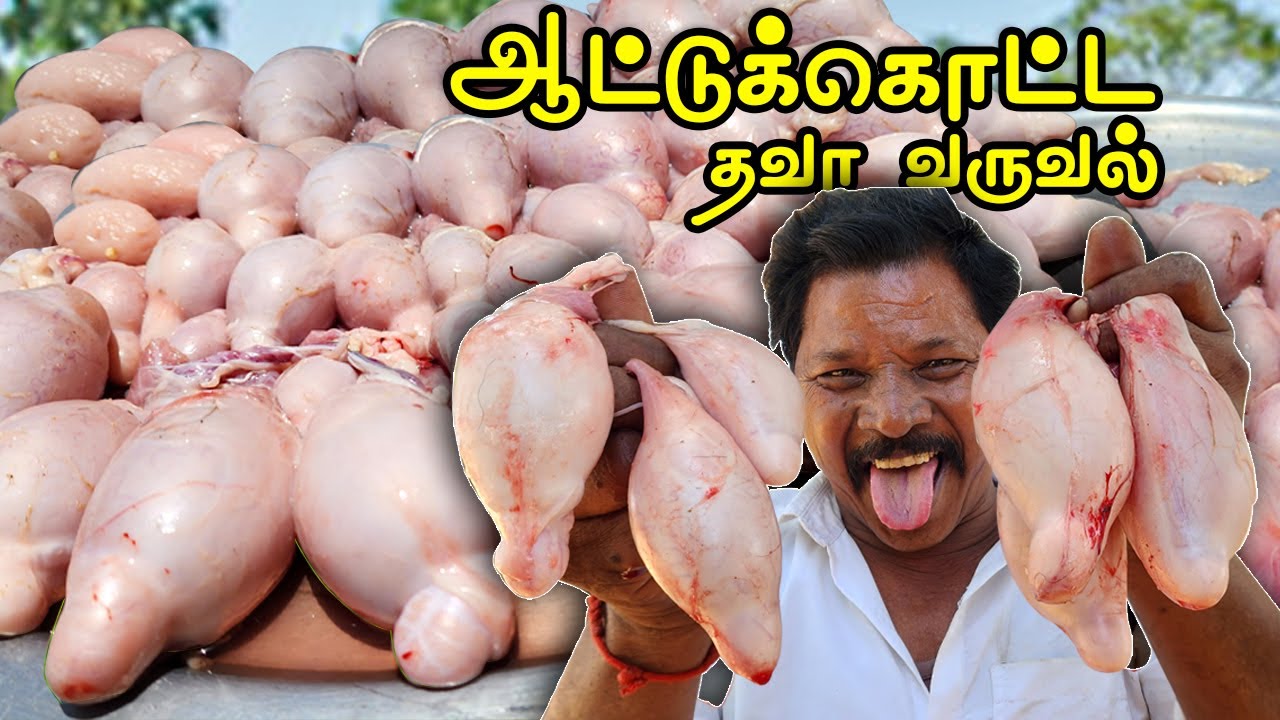 ஆட்டுக்கொட்ட  தவா வருவல்🐐😮| Goat Balls Fry Recipe🤩