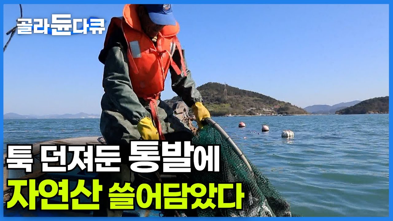 본업은 시작도 안 했는데 어제 던져둔 통발에 고기가 가득 들었다ㅣ봄 되니 알아서 들어온다ㅣ섬사람들이 맞이한 봄ㅣ한국기행│#골라듄다큐