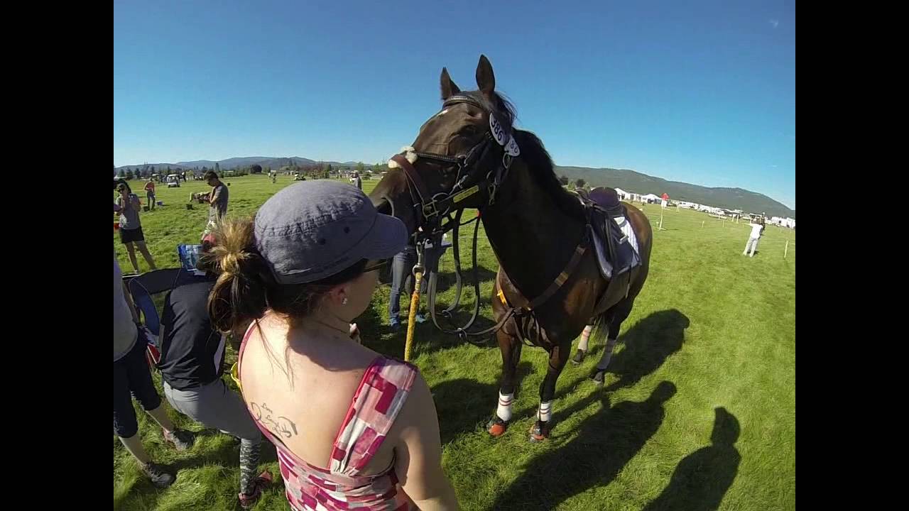 Jess & Twiggy Rebecca Farm Novice 3 Day Endurance & XC 2016