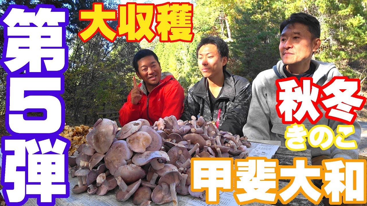 【甲斐大和】キノコ狩り　秋・冬きのこ