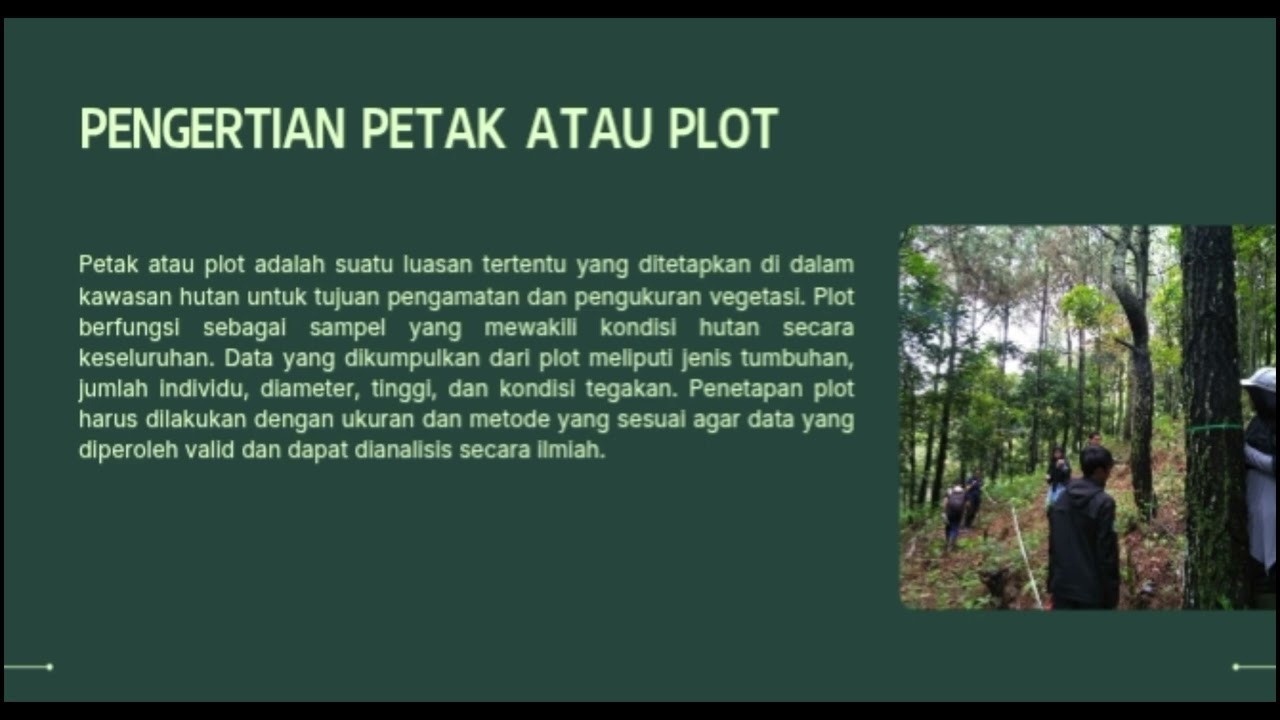 TATA CARA PEMBUATAN DAN PENGUKURAN PETAK/PLOT