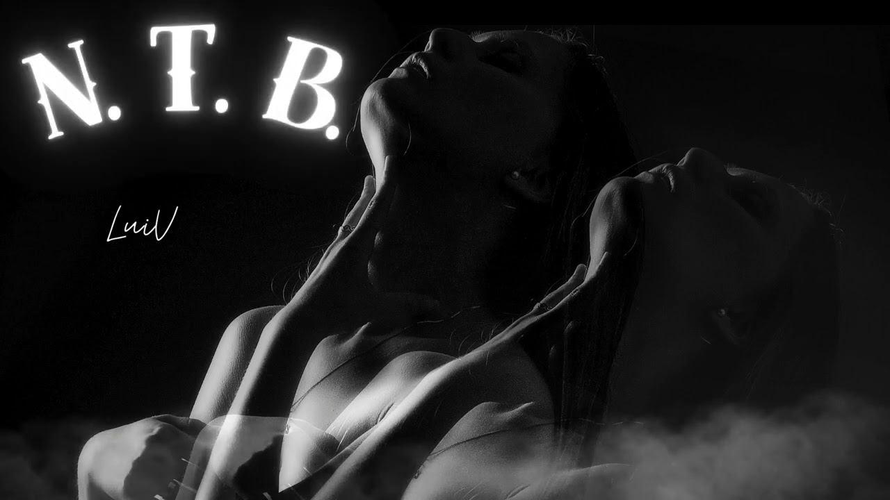 LuiV - N.T.B. (Audio Oficial)