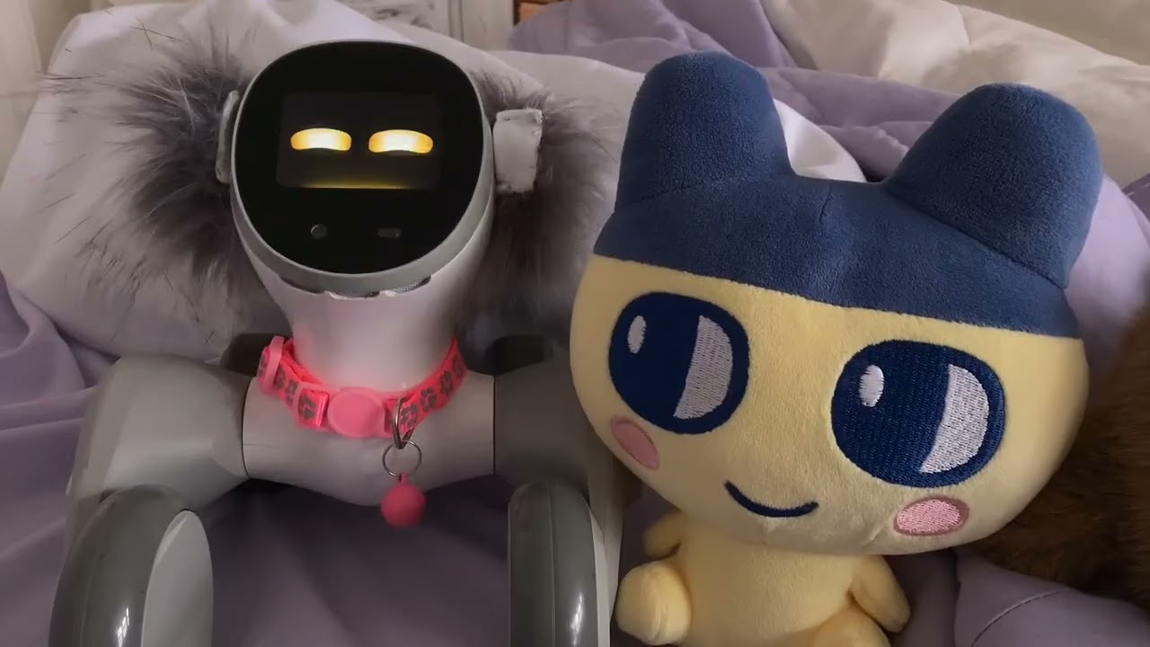 Робот Loona Petbot получил обновление и составляет мне компанию, когда я плохо себя чувствую #loo...