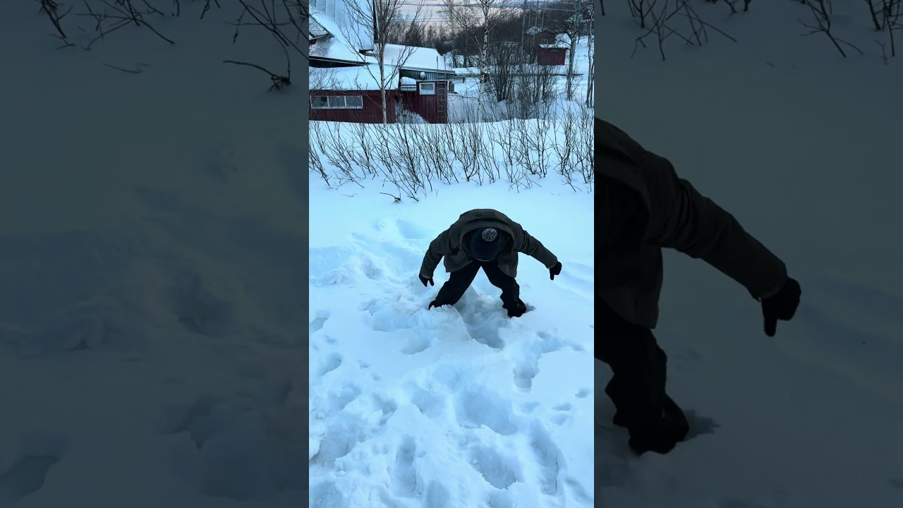 Tried to make a snow angel 🤭 Look who followed! #travel #norway