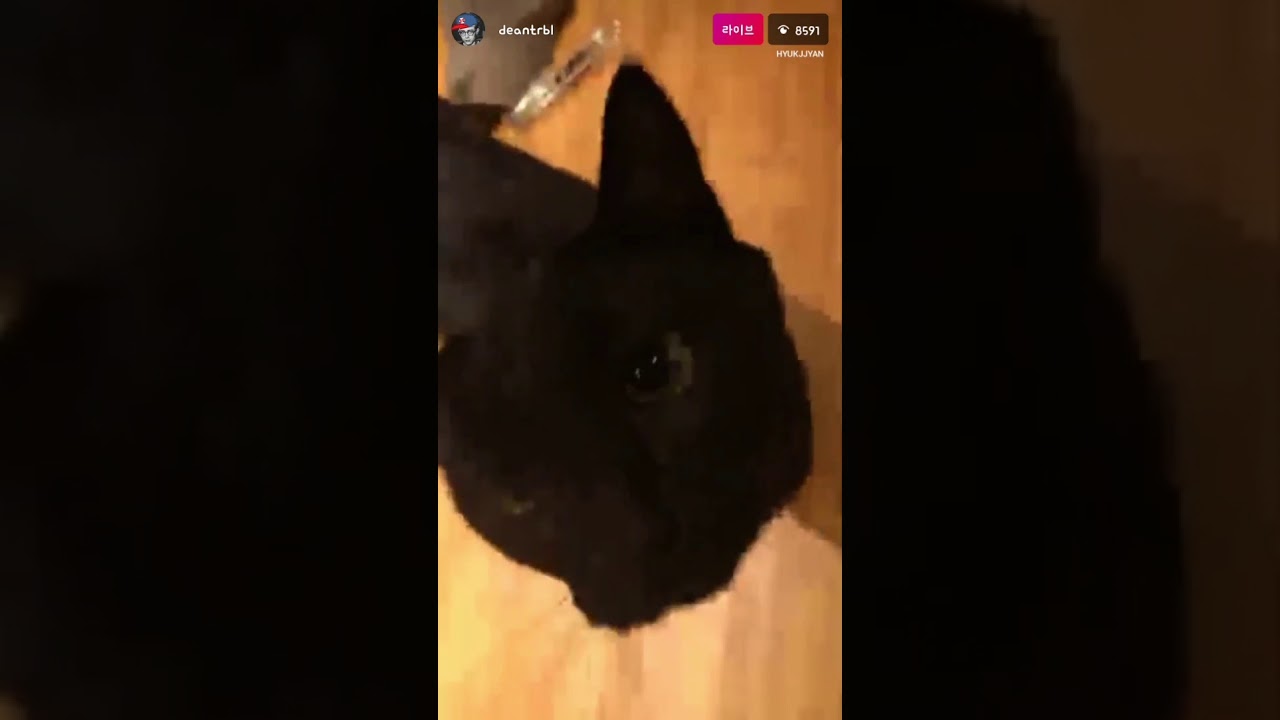 170917 딘(dean) 인스타라이브