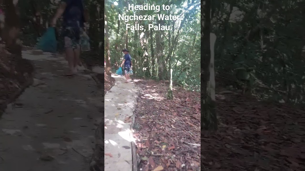 Heading to Ngchezar Water Falls, Palau