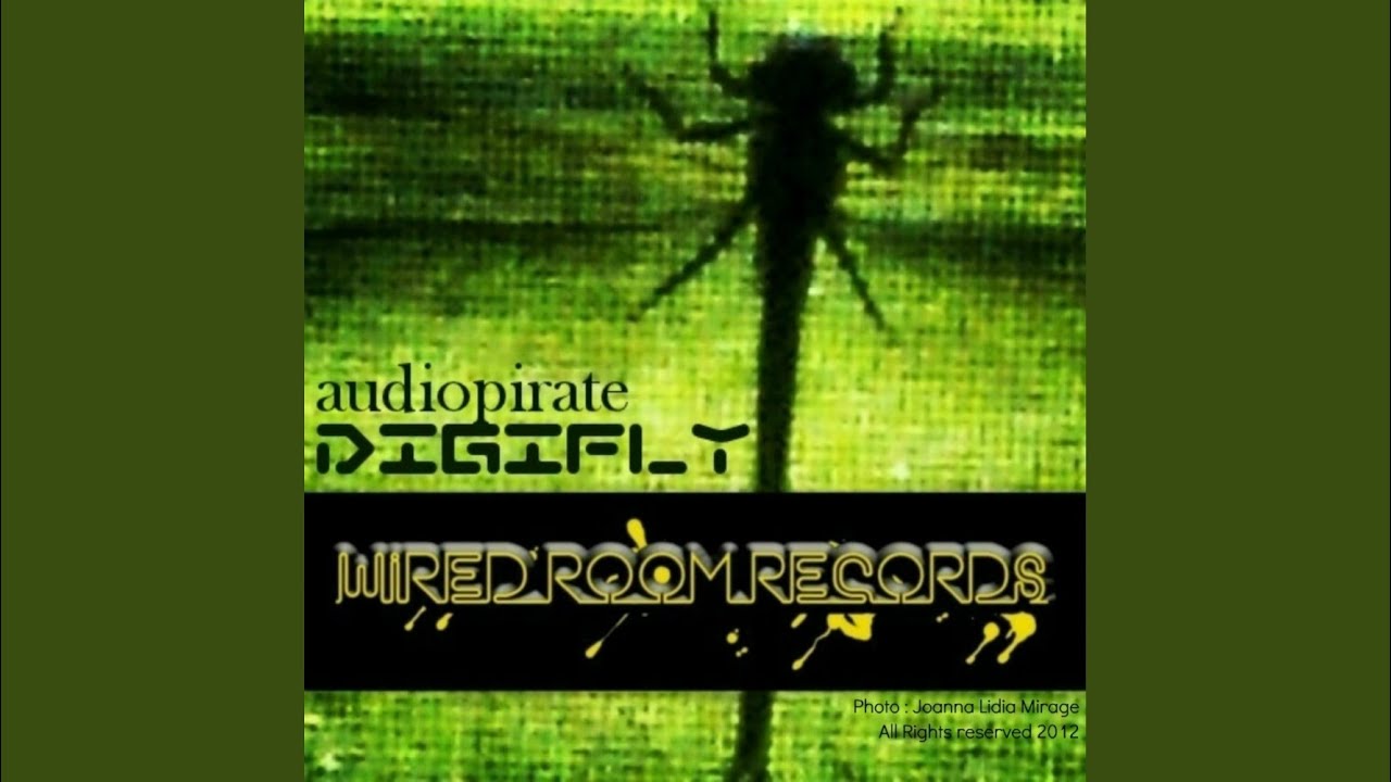 Digifly (Original Mix)