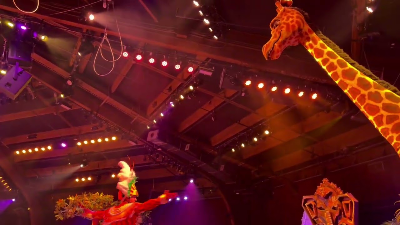 Festival of the lion king grand finale  2026