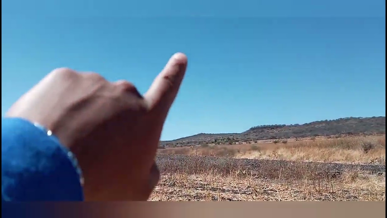 Pude captar una bruja llegando al lugar en forma de bola de fuego