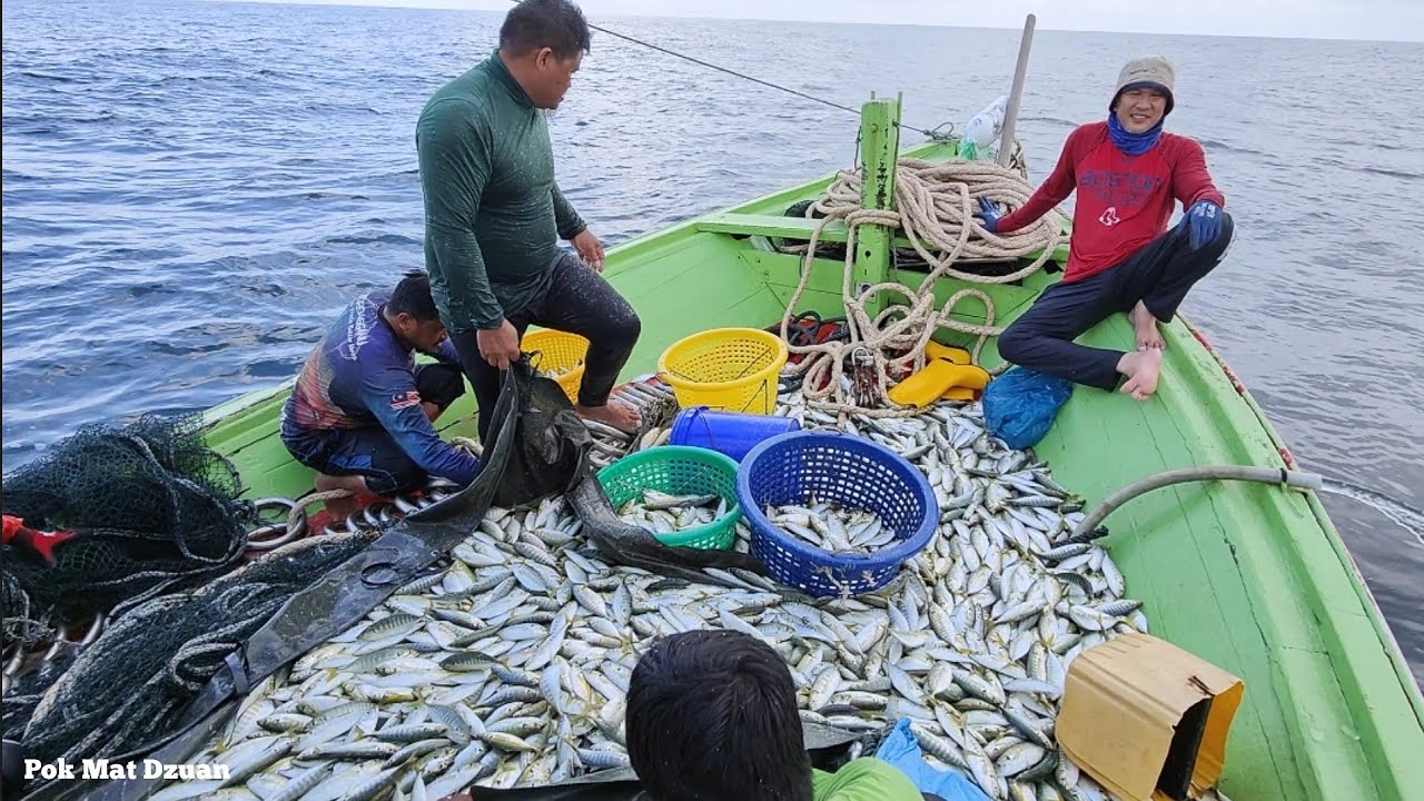 rezeki nelayan pukat jerut Kuala Marang Terengganu