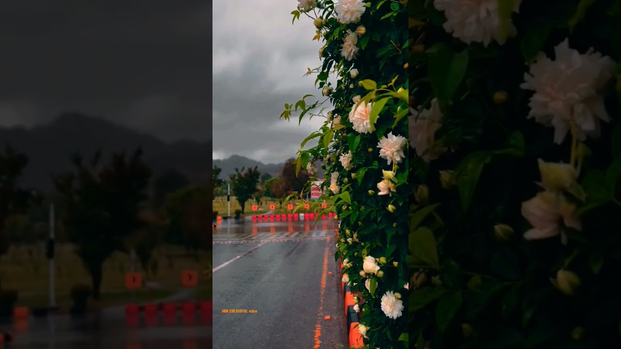 Rain wet road beautiful evening #shortreel #4kvideo #camera #hdr #video#vlogsvideo#4kultrahd #4kuhd
