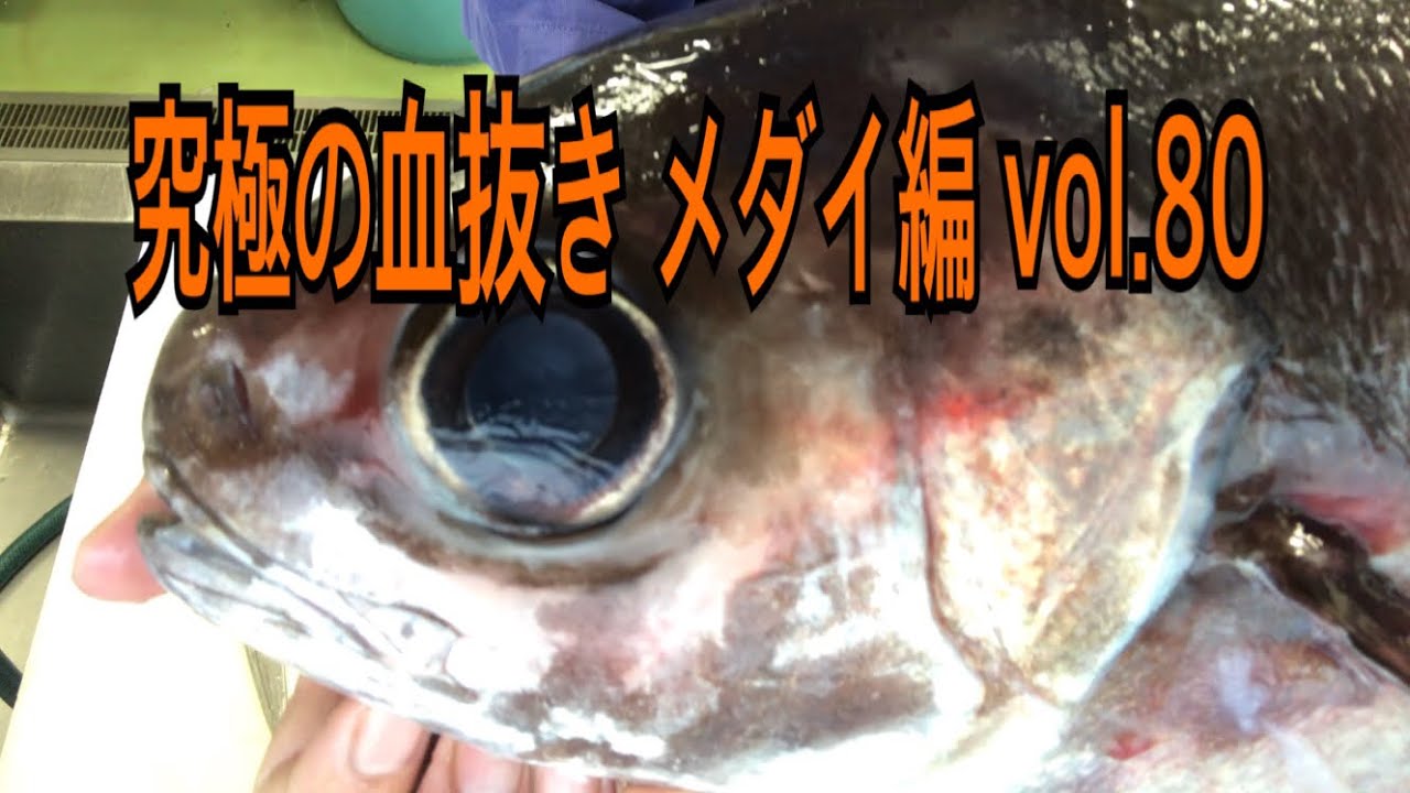 究極の血抜き メダイ編 vol.80