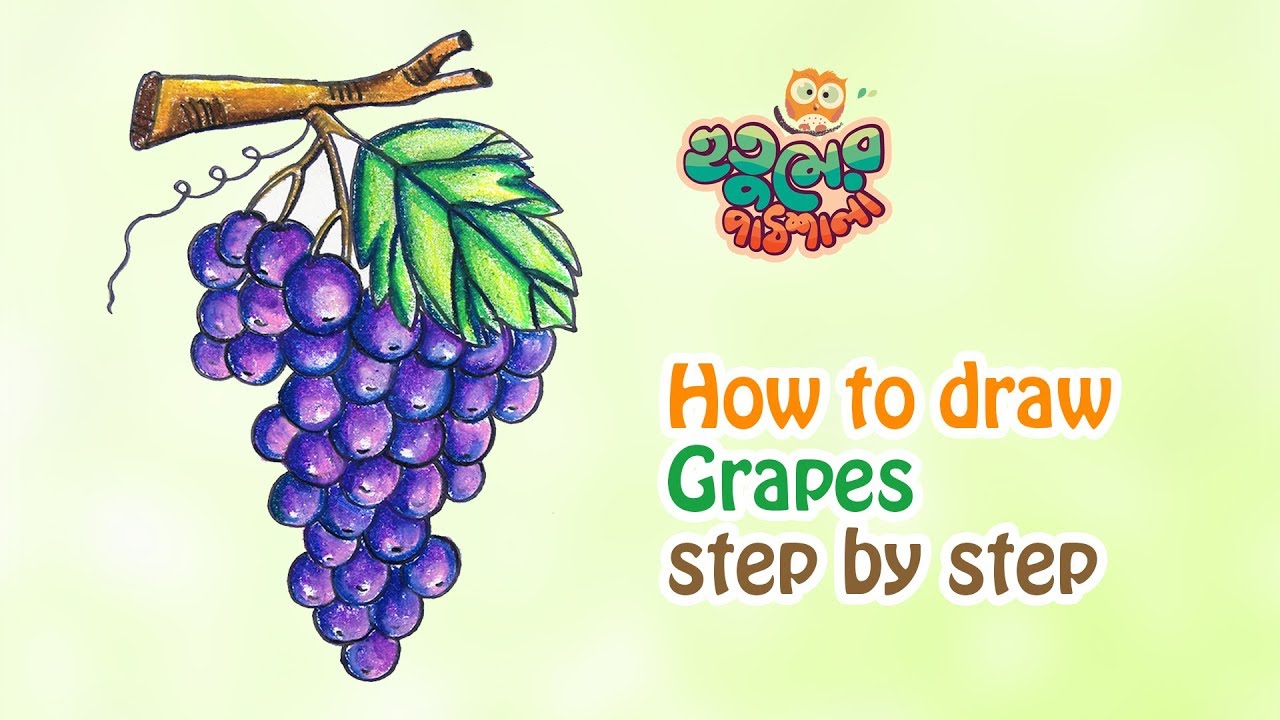 How to draw a grape | Drawing Tutorial