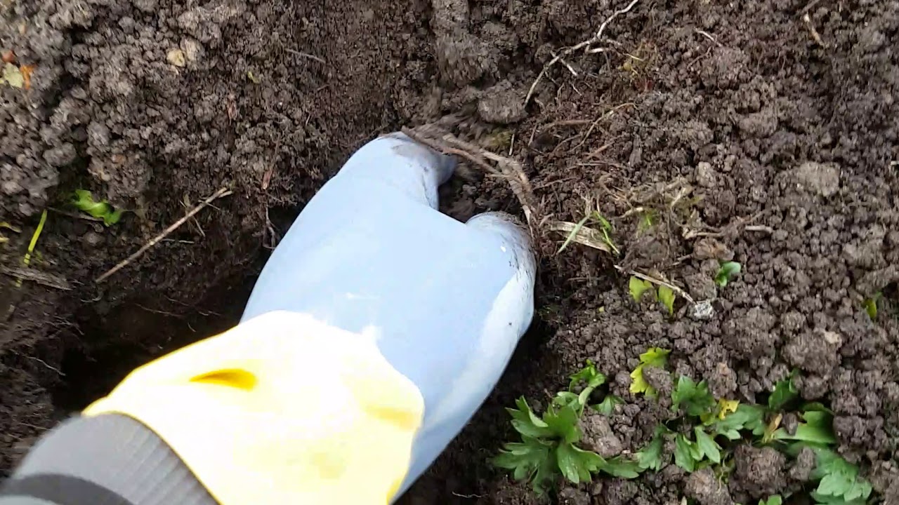 Конструкция электро  кротоловки.