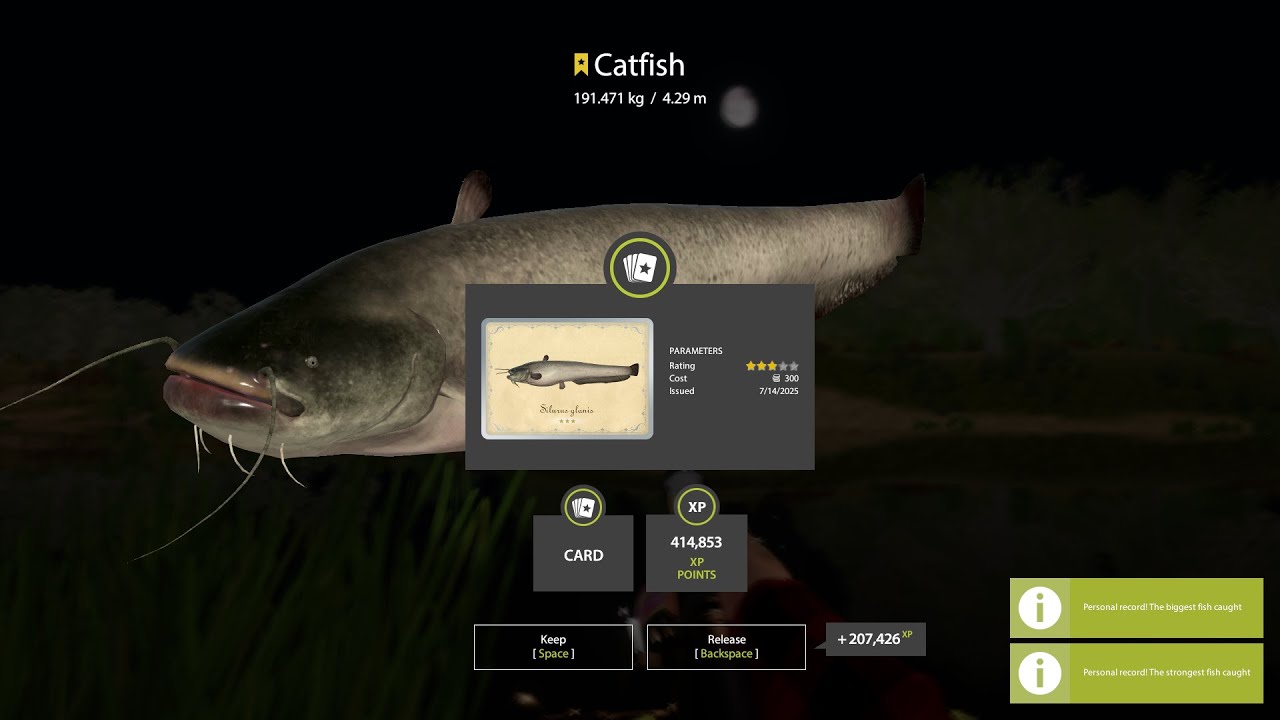 Monster Catfish 191kg Akhtuba River - Russian Fishing 4 RF4