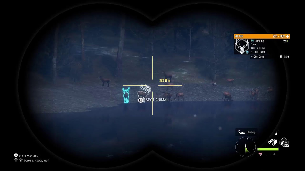 Let's do some Hunting