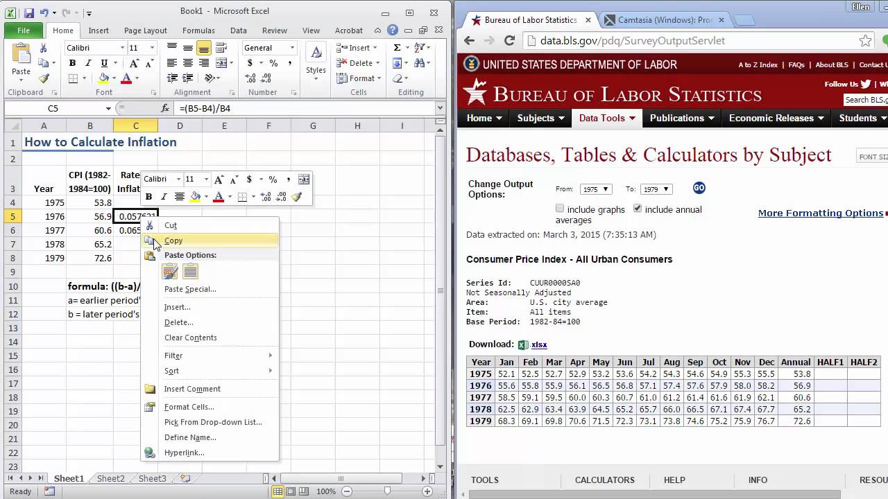 How to Calculate Inflation Using Excel